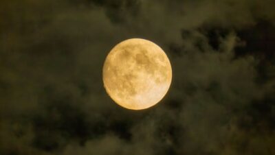 pexels photo 18873946